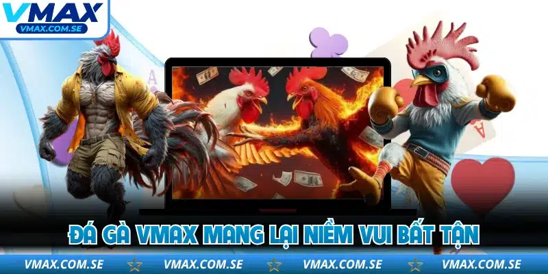 Đá gà VMAX mang lại niềm vui bất tận