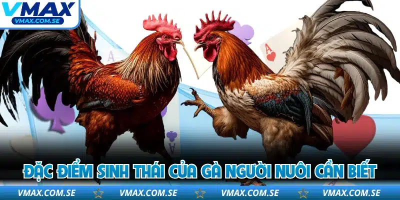 Đặc điểm sinh thái của gà người nuôi cần biết