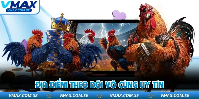 Địa điểm theo dõi vô cùng uy tín