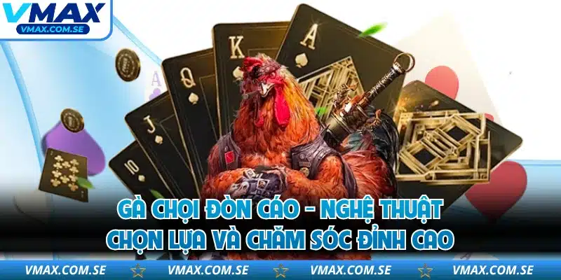 Gà Chọi Đòn Cáo - Nghệ Thuật Chọn Lựa Và Chăm Sóc Đỉnh Cao