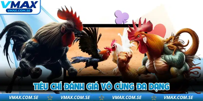 Tiêu chí đánh giá vô cùng đa dạng