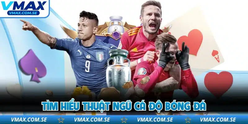 Tìm hiểu thuật ngữ cá độ bóng đá
